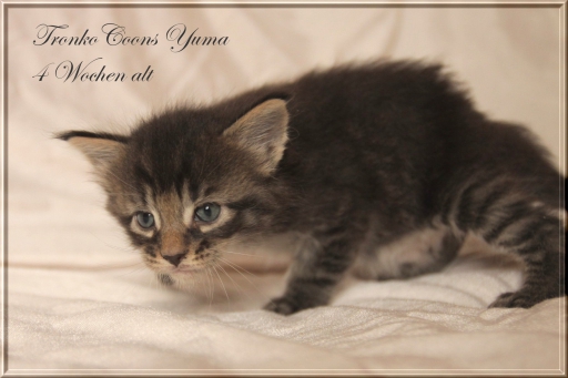 Yuma