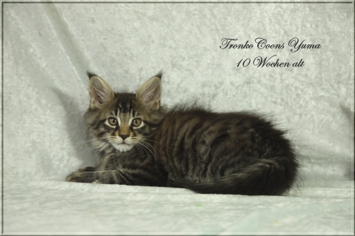 Yuma (Sohn des Häuptlings)