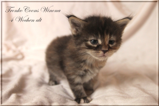 Winona