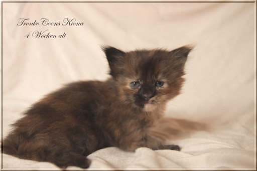 Kiona