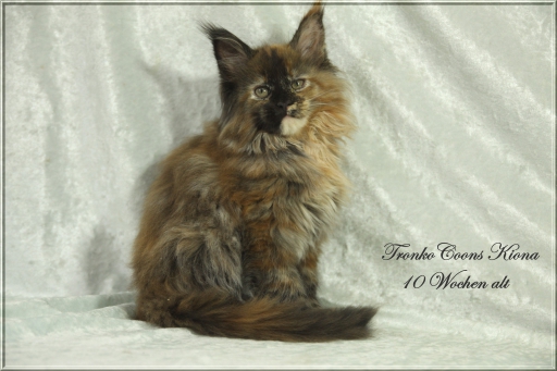 Kiona (brauner Hügel)